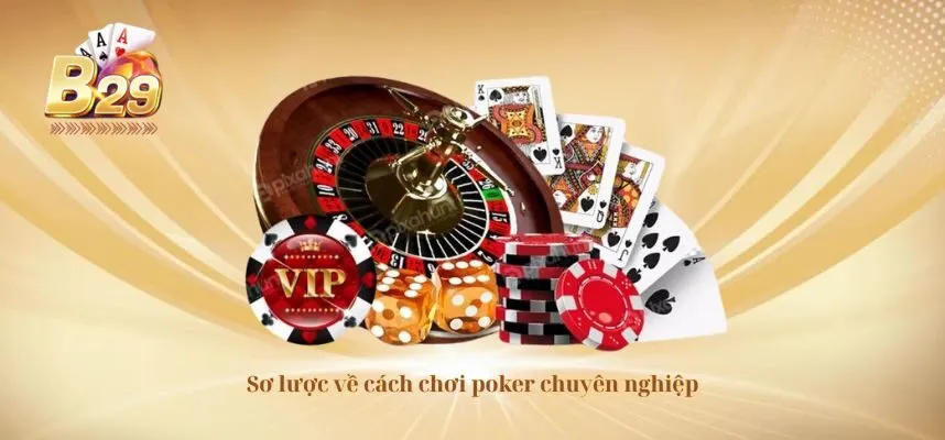 Sơ lược về cách chơi poker chuyên nghiệp