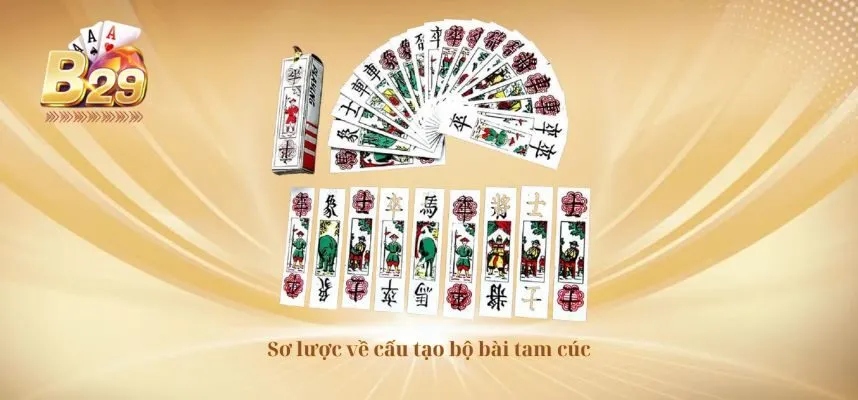 Sơ lược về cấu tạo bộ bài tam cúc